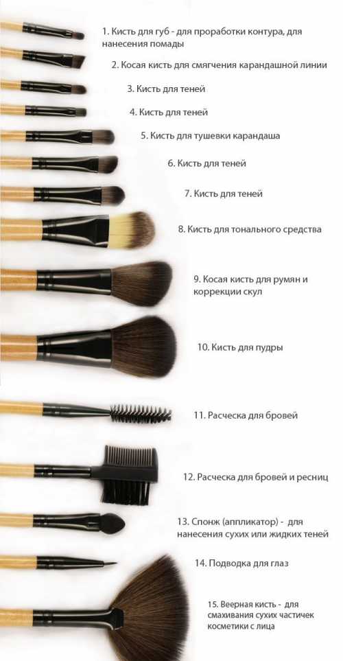Кисти для макияжа: какие выбрать и как использовать