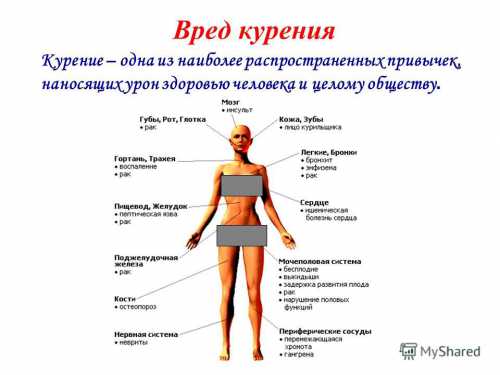 Чем вредно женское курение: выбери здоровье
