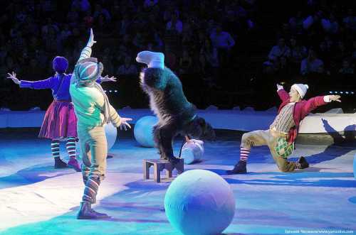 Весь вечер на манеже