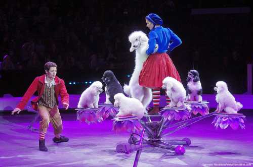 Автор лет назад минуты секунды просмотр, Классная