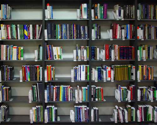 Если поражена одна книга, то её можно обработать самостоятельно