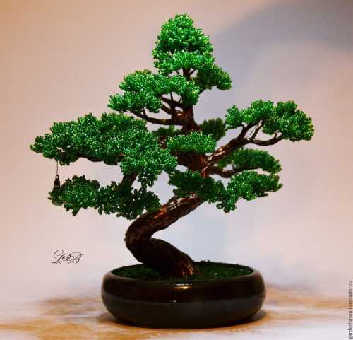 Йорке фото, видео