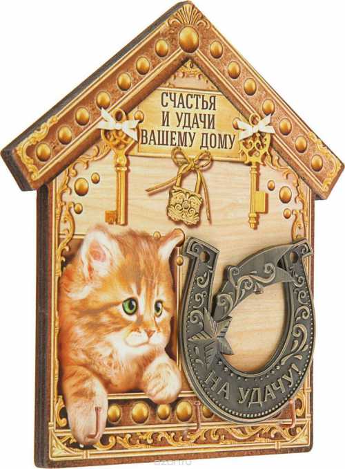 Белые цветочки фиалки поднимут настроение, прогонят негативные мысли