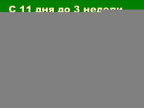 Опасные периоды беременности