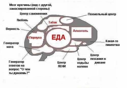 Как думают мужчины