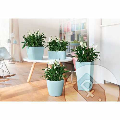 Выбираем цветочные горшки