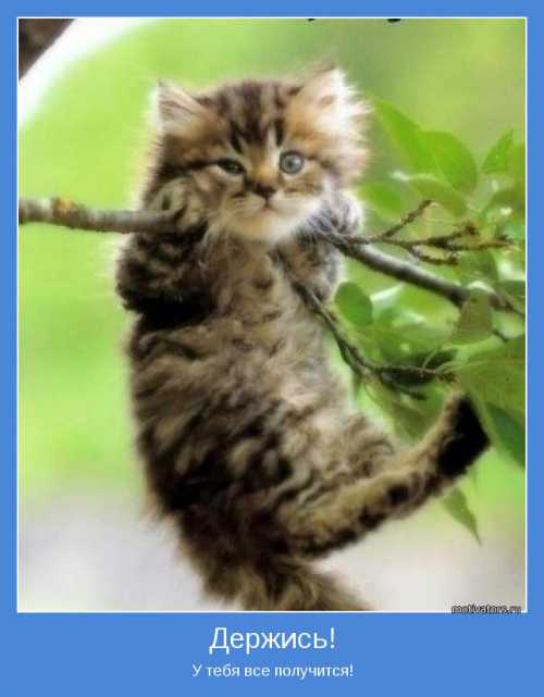 ВОТ И ДЕРЖИСЬ