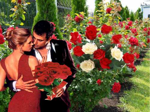 Конечно, романтичных мужчин гораздо меньше, чем романтичных женщин