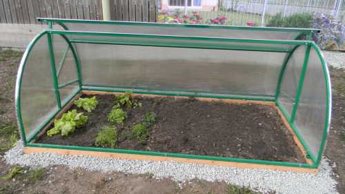 После того как биотопливо разогреется, начинают набивать парники