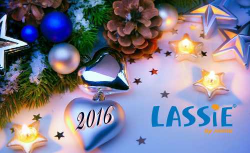 КЗ Как избавиться от лишних килограммов