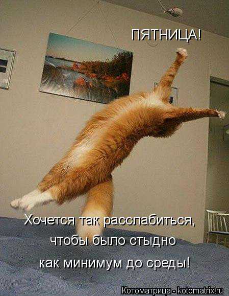 У вас праздник Как же быть