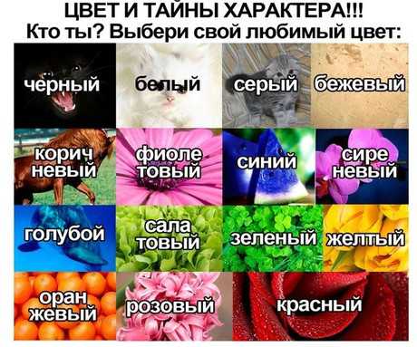 Твой любимый цвет