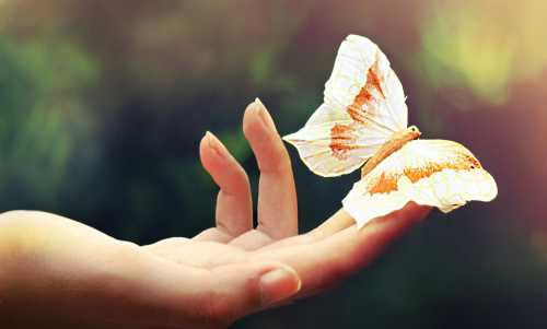 Оказался он живой