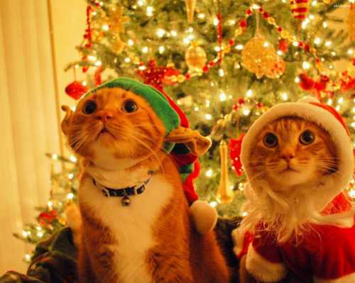 В преддверии Нового года