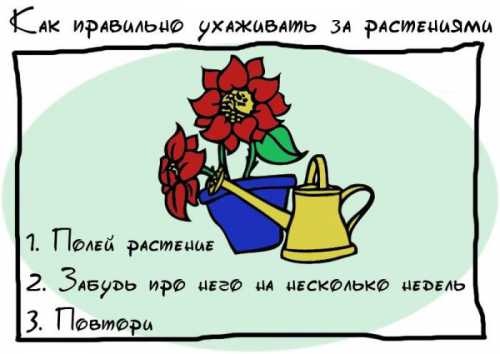 Поэтому, если вы обратили внимание, что вашим временем, терпением, добротой злоупотребляют, прекращайте жалеть вампира и давать ему советы