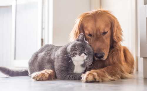 Понимаю, что она хочет исправить ошибки, но не можетвернее не особо хочет заниматься этим