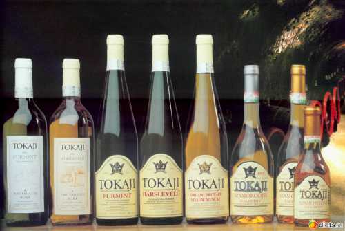 Вина Венгрии Какое выбрать вино к праздничному столу