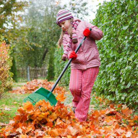 Если работа в саду связана с подготовкой грядок, тогда можно приготовить компост из перепревшей травы, ботвы и навоза