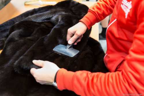 Чистка меховых изделий в домашних условиях