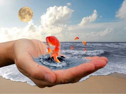 В студии программы побывали