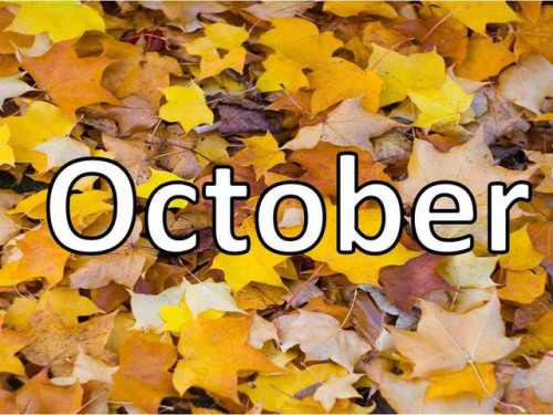 Приезжая в разные страны, он в течение нескольких дней пытается стать на чужбине своим ведущий учится традиционным ремёслам, носит национальную одежду, пытается говорить на местном языке и питается едой, которая составляет ежедневный рацион коренных жителей