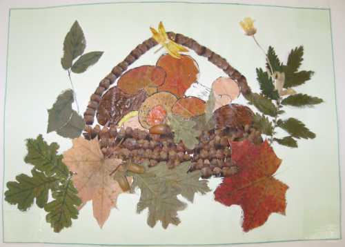 Можно сушить листья между страницами книги