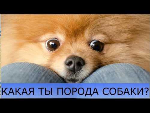 Для отправки комментария вам необходимо авторизо ваться