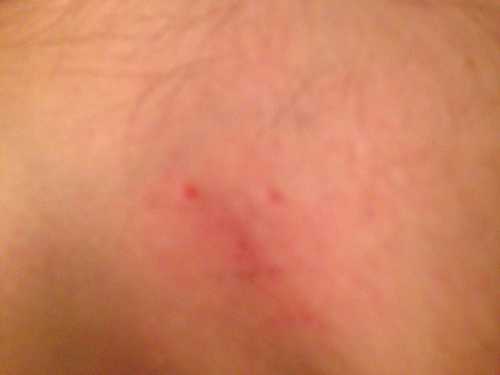 Пошаговая инструкция