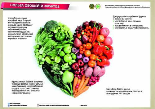 Овощи и фрукты на пользу, а не во вред
