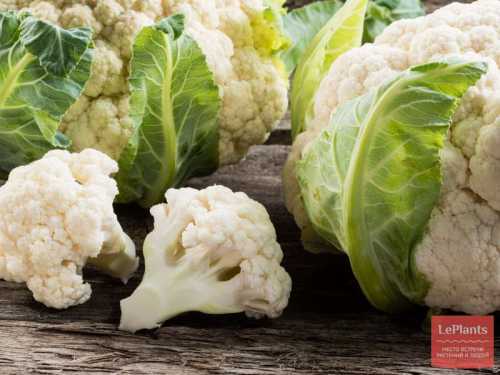 Имейте это в виду