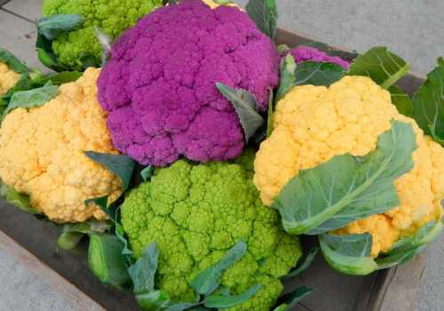 Первый посев осуществляют в конце марта или начале апреля