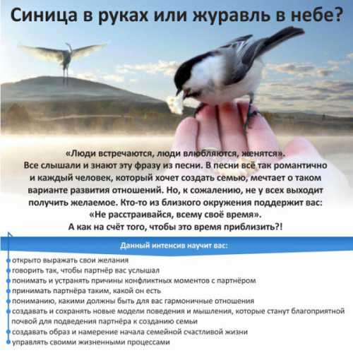 Сегодня мы узнаем, зачем прогревать браузер мая