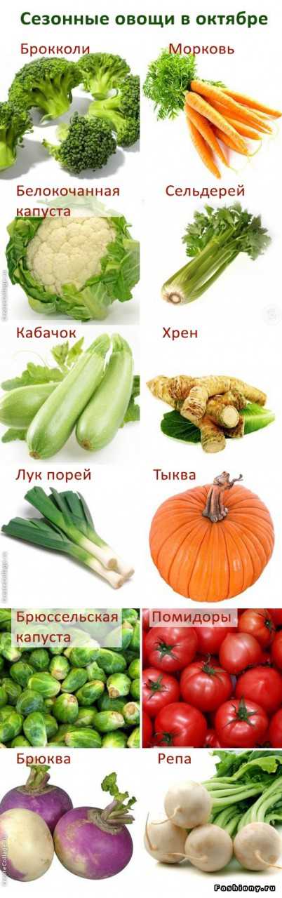 Рецепты из сезонных овощей и фруктов августа