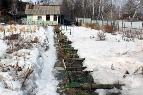 Работы в саду в январе