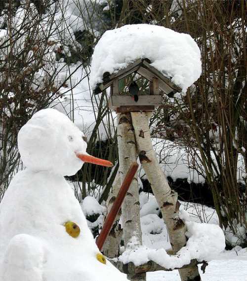 Когда нет морозов или дождей, уборка старых листьев с лужайки и корректировка границ формальных газонов