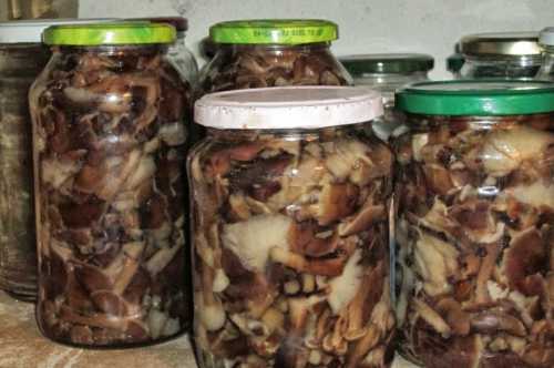 Консервирование Маринованные опята
