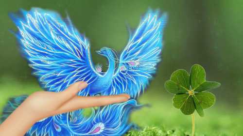 Мненужен мой опыт Ячувствую, чтоживу, только тогда, когда наменя обращают внимание, когда мне завидуют