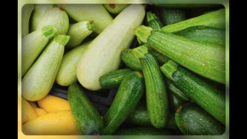 Цуккини Как выращивать цуккини на вашем садовом участке