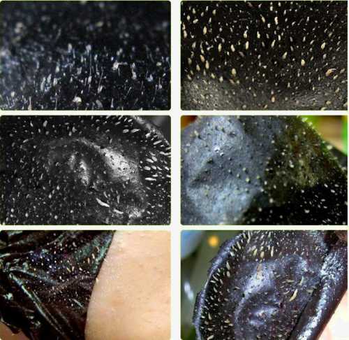 Классическая маскаскраб из соли и соды от черных точек на лице