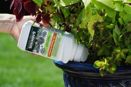 Но многочисленные отзывы говорят о том, что это достаточно действенный метод