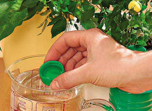 Продукт, без которого, кажется не мыслимым любое блюдо нашей кухни, лук, можно использовать не только в кулинарии, но и в садоводстве